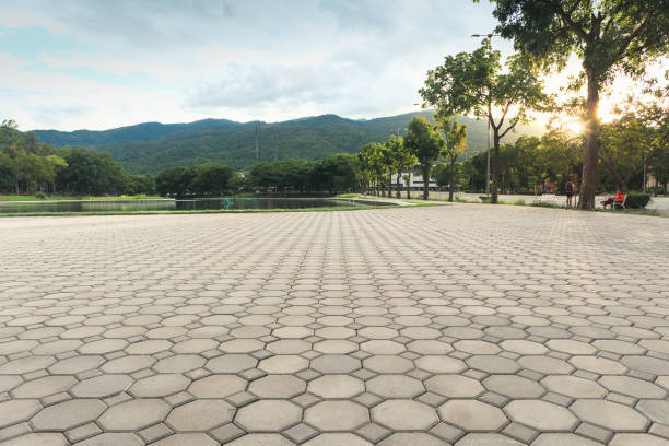 Best Interlocking Driveway Pavers  in Shady Shores, TX